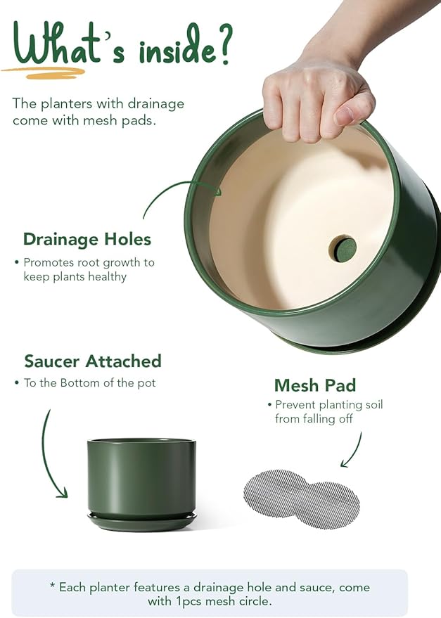 LE TAUCI Ceramic Pots for Plants, 6.8 Inch Plant Pots with Drainage Hole & Saucer, Modern Planter for Indoor Plants, Stable & Durable, Perfect for Living Room or Office Decor, Forest Green