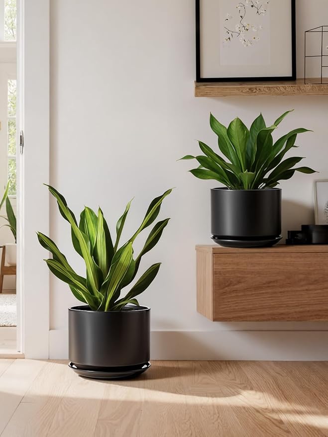 LE TAUCI Ceramic Plant Pots, Set of 2, 8+10 Inch Plant Pots Indoor with Drainage Hole & Saucer, Sturdy Planters for Indoor Plants, Modern Minimalist Decor for Snake Plant, Monstera, Black