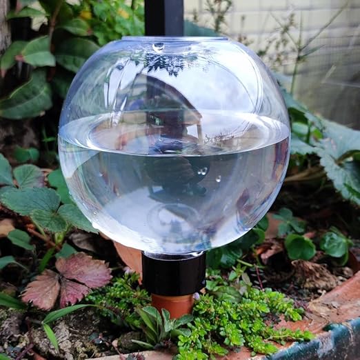 2Pcs Automatic Plant Watering Globes, 17 Oz Self Watering Planter Insert - Indoor/Outdoor Drip Irrigation, Plastic, Minimalist Style