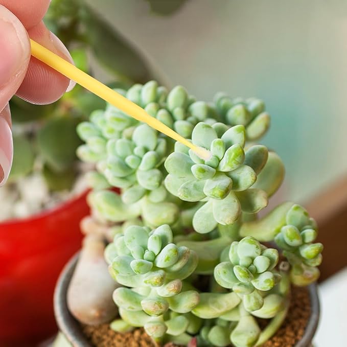 Vegetable Pollinator Tool Plant Pollination Pen for Garden Flowers Fruits Succulent Outdoor Hand Pollinator Brush