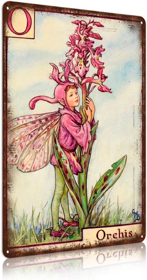 Flower Fairy Wall Decor Vintage Metal Tin Signs Fairy Garden Accessories - Nasturtium