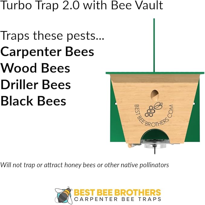Best Bee Brothers Turbo Trap 2.0, Professional-Grade Carpenter Bee Trap for Outside with Bee Vault, Large Viewport & Spring-Loaded Door, 4.1” W x 4.8” H x 5.9” D (2 Pack)