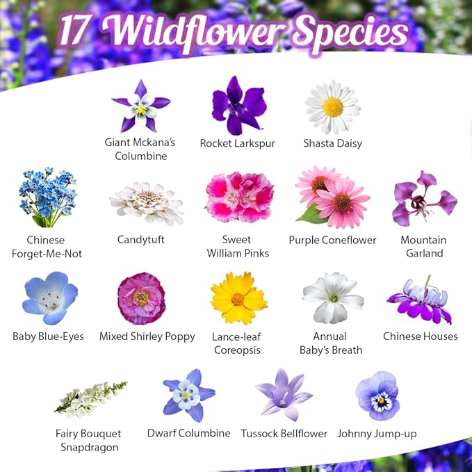 BBB Seed Partial Shade Wildflower Seeds - 1 oz Packet, Open-Pollinated Wildflower Seed Mix, No Fillers, Annual, Perennial Wildflower Seeds for Planting Year Round - 1 oz