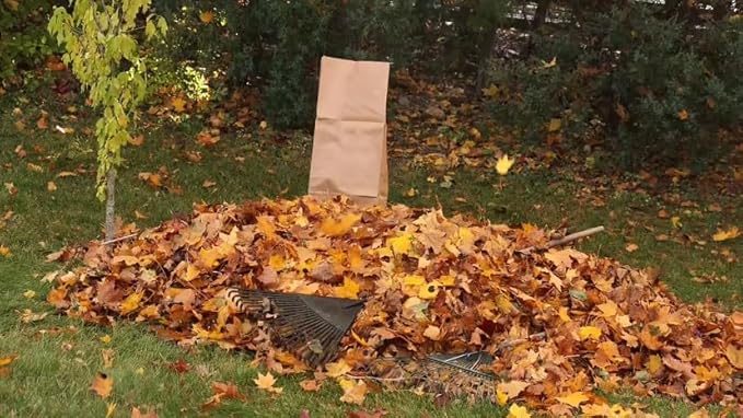 Rocky Mountain Goods Yard Waste Bags - Large 30 Gallon Brown Paper Leaf Bags for Yard/Garden/Lawn - Environmental Friendly - Tear Resistant - Heavy Duty - 2 Ply Self Standing (Pack of 5)