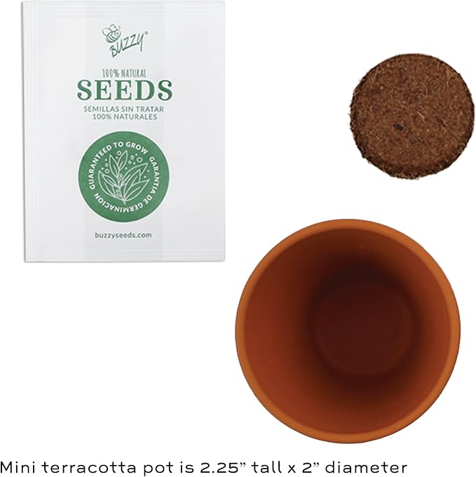 BUZZY Seeds 12-Pack Sunflower Mini Grow Pots – All-in-One Terracotta Flower Starter Kit with Growing Medium, DIY Gardening, Wedding and Shower Favors