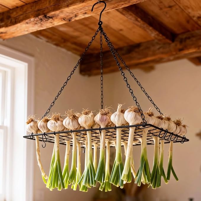 Nordic Black Iron Garlic & Herb Drying Rack–Space-Saving 81-Hole Metal Dryer for Flower, Onions, and Grass–Rust-Resistant Hanging Organizer for Indoor & Outdoor Use–Ideal for Home Gardeners