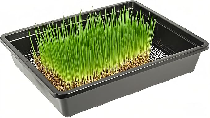 SINJEUN 15 Pack Mesh Bottom Seed Starter Trays, 15 x12 Inch Plastic Plant Tray Mesh Plant Germination Trays for Microgreens, Black