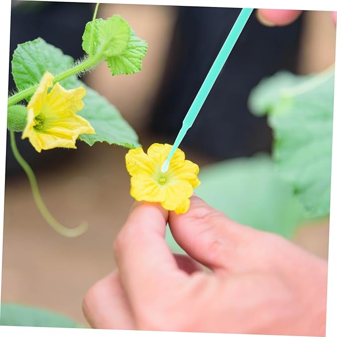 2sets Tree Pollinator Tool Easy to Use for Pear Tree Pollination Vegetable Pollinator Pen Hand Pollination Tools for Bees 20pcs*2