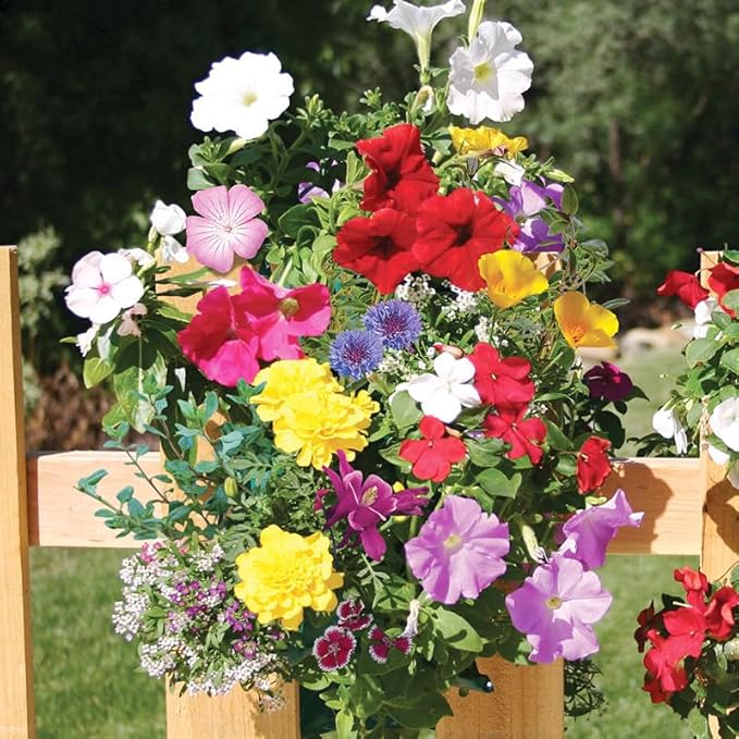 Butterfly Saddlebag Garden - 1 Seed Kit and Garden Bag Per Pack - Container Garden - Mixed Colors - Attracts Butterflies and Hummingbirds