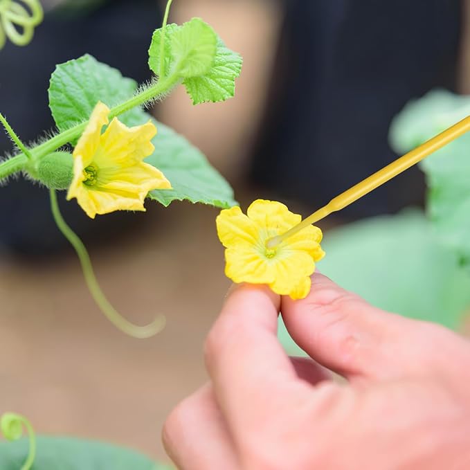 Vegetable Pollinator Tool Plant Pollination Pen for Garden Flowers Fruits Succulent Outdoor Hand Pollinator Brush
