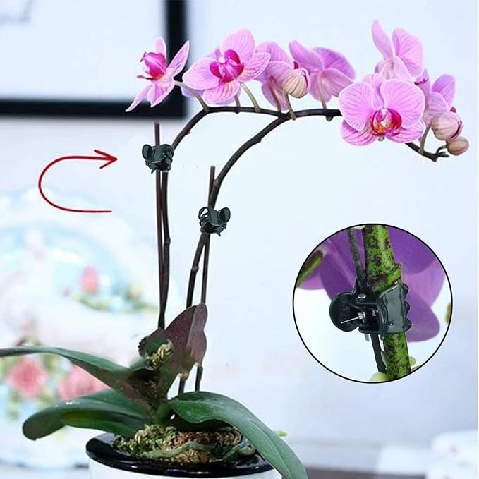 200 Pcs Plants Orchid Support Clips Plant Clips Orchid Clips Flower Vine Clips for Supporting Stems Vines Stalks Climbing Plant Grow Upright