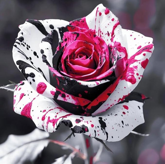 100+ Seed Rare Rose Seeds for Planting Outdoor-Perennial Flowers Seed Create Colorful Rose Garden Home Pollinator Friendly