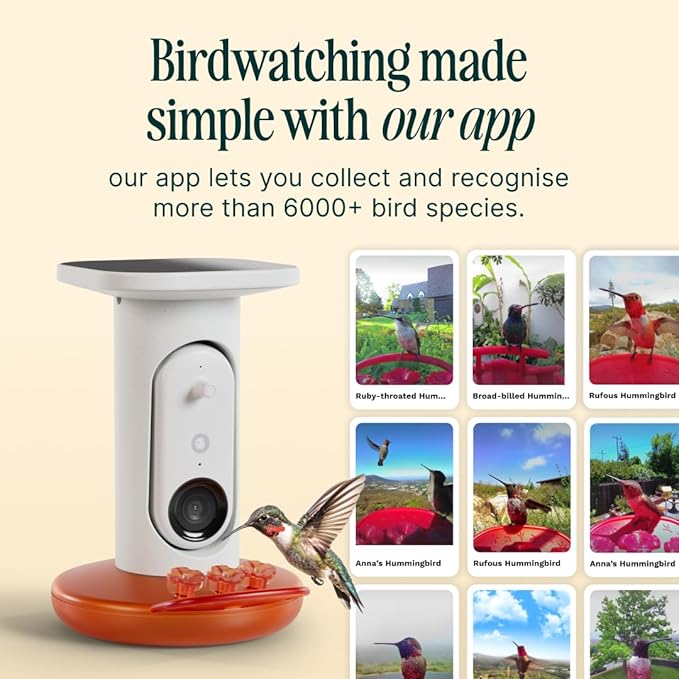 Birdbuddy Smart Non-Solar Pro Hummingbird Feeder with Camera - AI Bird Identification, 2K Video, 5MP Photos, Outdoor Hanging, Gift for Bird Watching (Pack of 2)