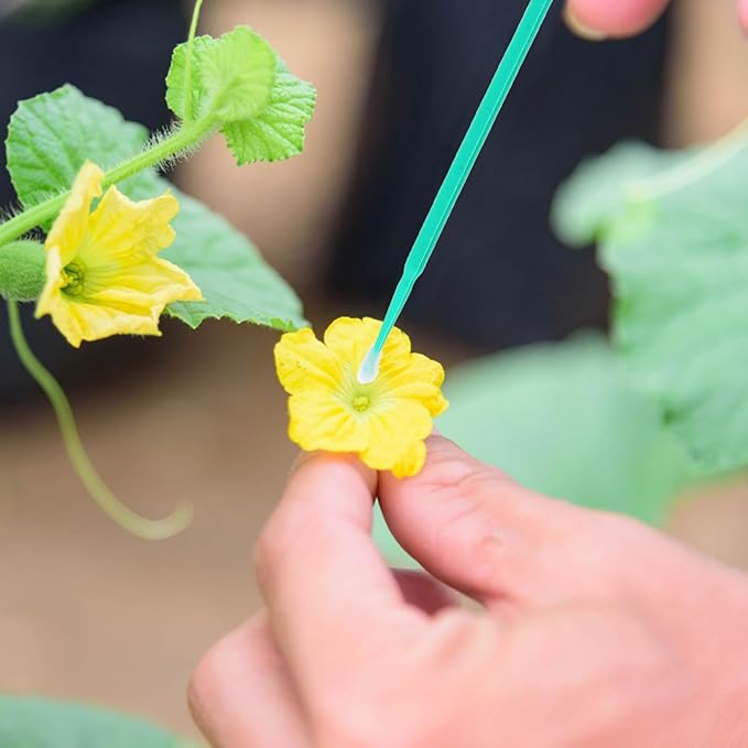 Vegetable Pollinator Tool 100Pcs Manual Hand Pollination Brush for Tomatoes Peppers Strawberries Succulents Garden Plants Efficient Outdoor Pollinator
