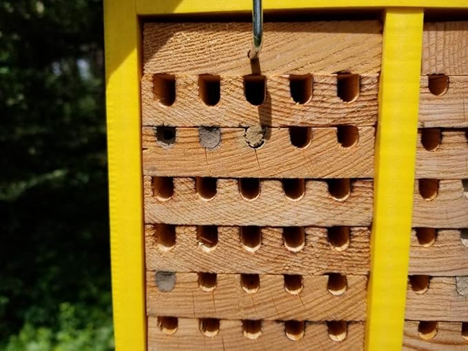 JCs Wildlife Double-Wide Large Poly Lumber and Pine Mason Bee House - Attracts Bee Pollinators in Your Garden - Handmade in The USA