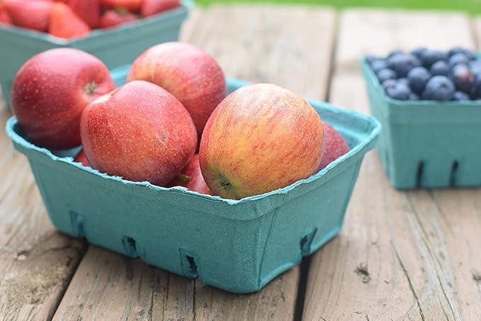 25 Pack Green Molded Pulp Fiber Berry/Produce 1.5 Quart Basket - Large Berry Basket