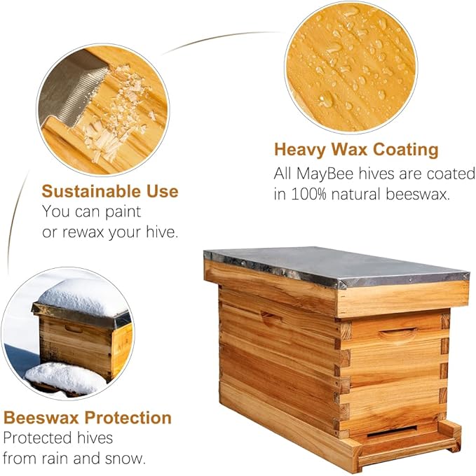 MayBee 5-Frame Nuc Beehive for Bees Complete Bee Hive Box Kit with Metal Roof Includes Wooden Frames & Waxed Foundations for Langstroth Beekeeping