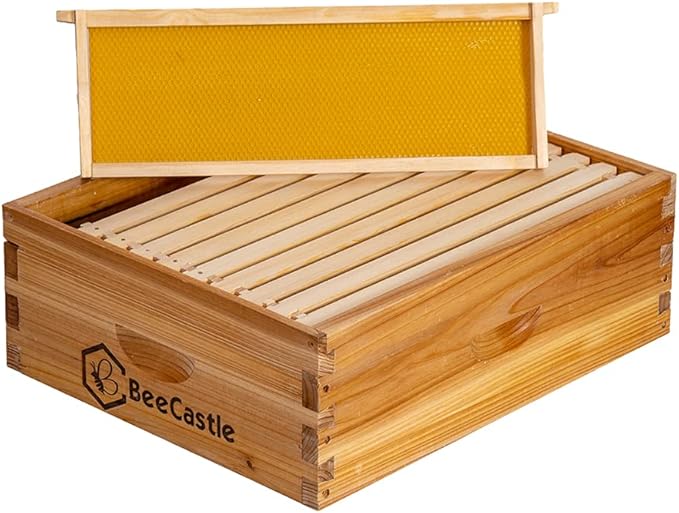 BeeCastle 10 Frame Medium Super Bee Hive Box, Langstroth Honey Bee Hive Dipped in 100% Beeswax Include Beehive Frames and Wax Foundations (Unassembled)