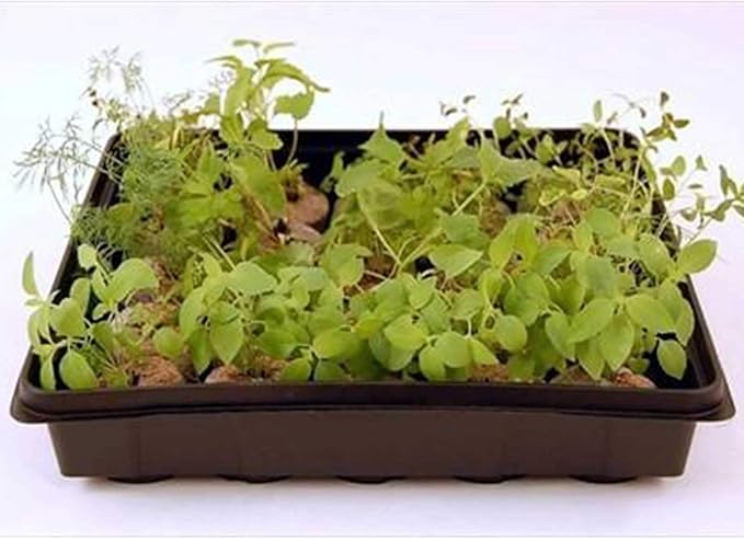 10" x 10" Garden Growing Trays with Drain Holes - 10-pack Recyclable Plastic Plant Trays for Wheatgrass Sprouting Tray, Microgreens Growing Trays, Hydroponic Trays, Nursery Flats, Greenhouse Supplies