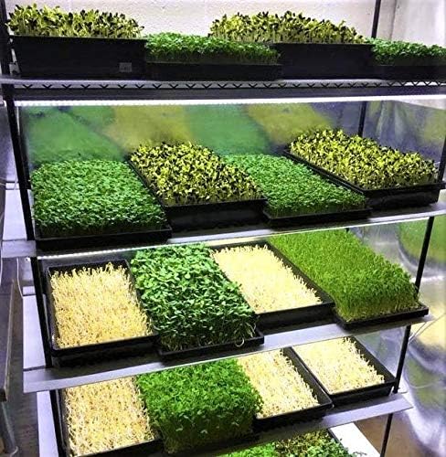 Bootstrap Farmer Mesh Bottom 1020 Trays - 30 Pack Extra Strength Microgreens Soil Blocks Hyroponics