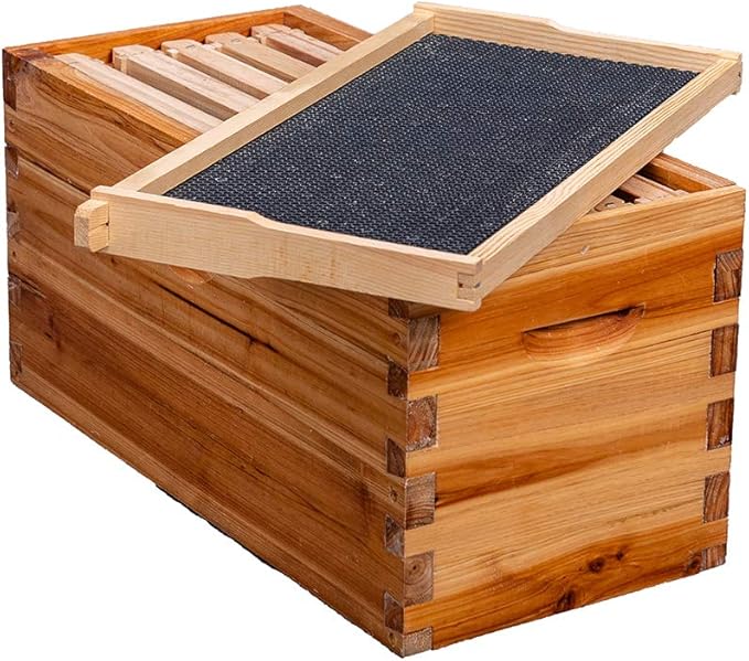 MayBee 5-Frame Nuc Beehive for Bees Complete Bee Hive Box Kit with Metal Roof Includes Wooden Frames & Waxed Foundations for Langstroth Beekeeping