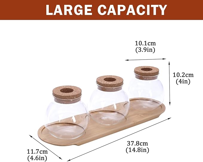 Plant Propagation Station, Glass Propagation Vases with Lid and Wooden Stand, Prop Drops Terrarium Jar for Hydroponics Home Garden Office Decor, 3 Bulb Vase