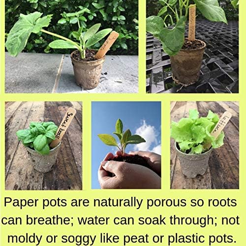 Clovers Garden Organic Recycled Paper Seed Starter Pots - 100% Biodegradable Peat-Free Pots for Seedlings - Qty 60 (3.5" Round) with 24 Markers