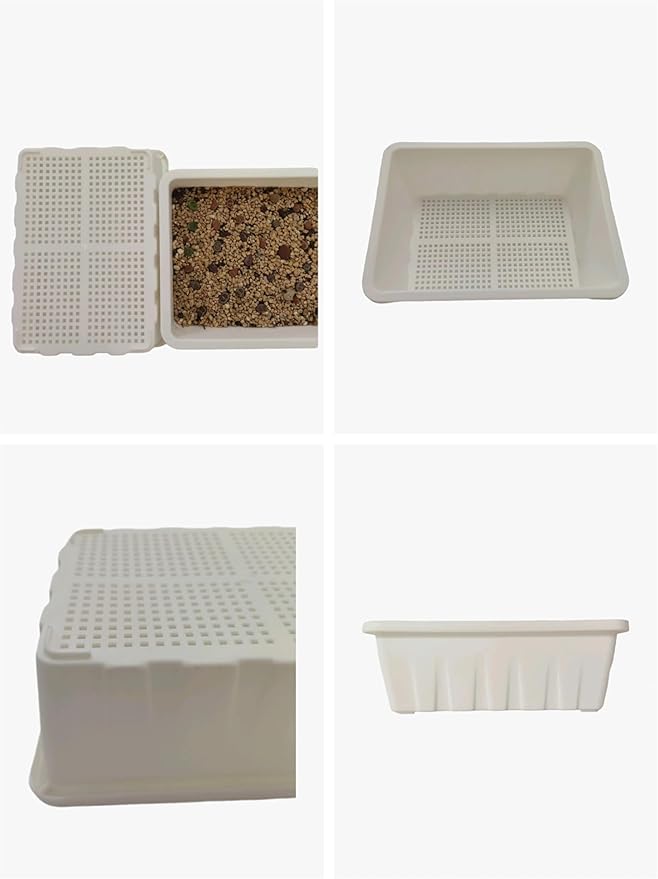 10 Pack Plastic Seedling Starters Trays Mesh Bottom for Microgreen Cactus Succulents