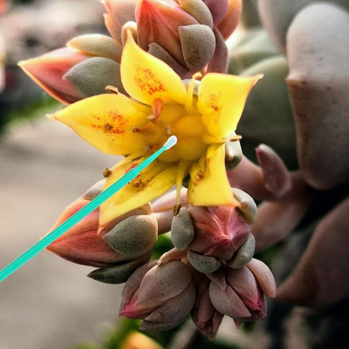 Vegetable Pollinator Tool Hand Pollination Pen for Garden Fruit Succulent Plants Manual Pollination Stick for Efficient Crop