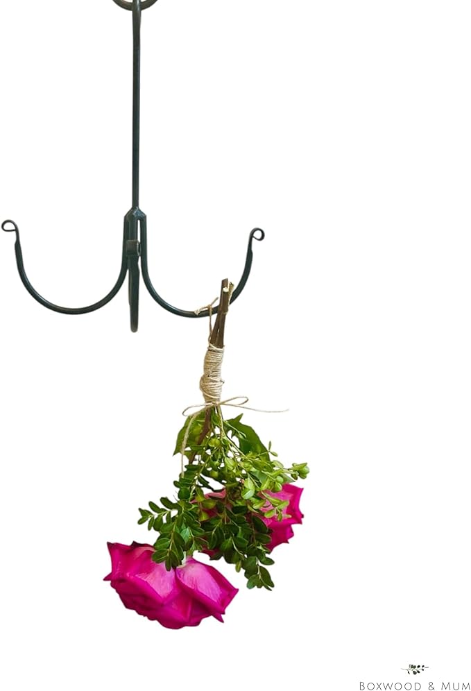 Boxwood & Mum Herb Flower Drying Rack, Rustic Kitchen Decor, Small Wrought Iron Hanging Rack for Florals, Herbs, Plants, Gift for Gardener (3)