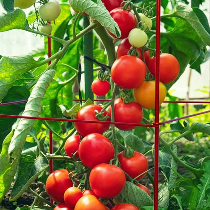 Tomato Cages 6 Packs 46 Inch (H) Plant Stand with 164 Feet Twist Ties, Heavy Duty Garden Plants Support for Tomatoes, Cucumber, and Other Climbing Plants (Red)