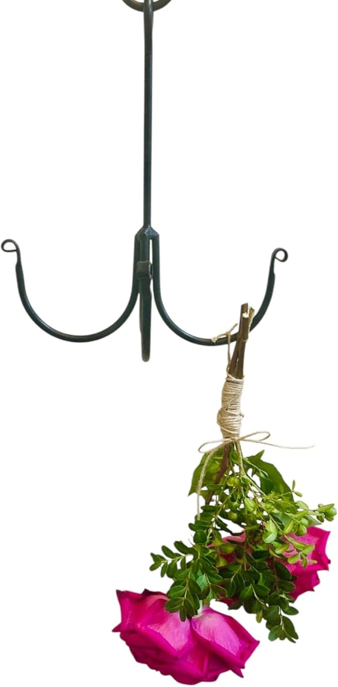 Boxwood & Mum Herb Flower Drying Rack, Rustic Kitchen Decor, Small Wrought Iron Hanging Rack for Florals, Herbs, Plants, Gift for Gardener (3)