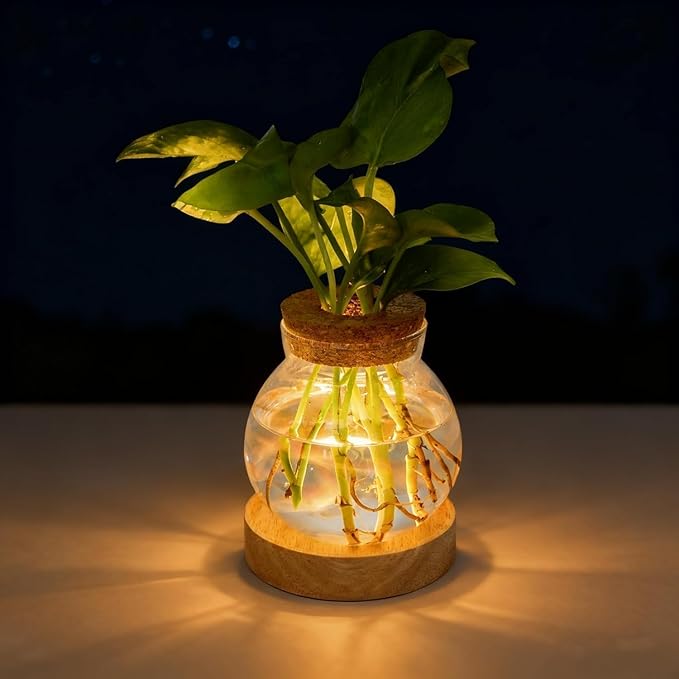Plant Propagation Station with Light, Valentines Day Glass Terrarium with Stepless Dimming Function Hydroponic Glass Container Vase Jars Gardening Gifts for Mom Women Plant Lovers