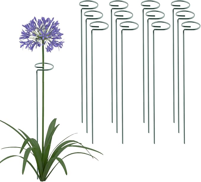 12 Pack 16 Inch Plant Support Stakes, Metal Single stemmed Flower Support Hoops，Garden Plant Stakes Plant Prop for Amaryllis Orchid Lily Rose Peony Tomatoes Gladiolus