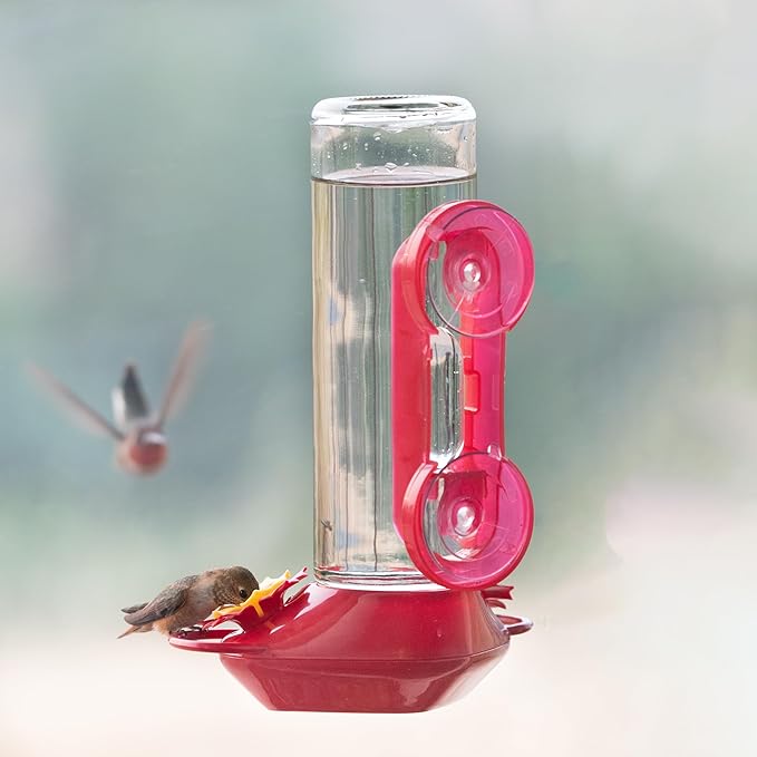 Perky-Pet Window-Mounted Glass Hummingbird Feeder - 14 fl oz Nectar Capacity - Entertaining Bird Watching - Glass Window Bird Feeder - 455-2 - Family Birdwatching