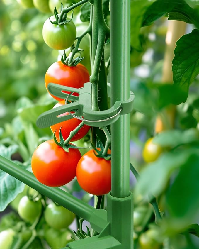3 Pack Tomato Cages for Garden - Heavy Duty Square Tomato Plant Support Stakes, Height-Adjustable Tomato Trellis, Tomato Plant Cage for Raised Beds/Pots (Holds 50 Lbs)