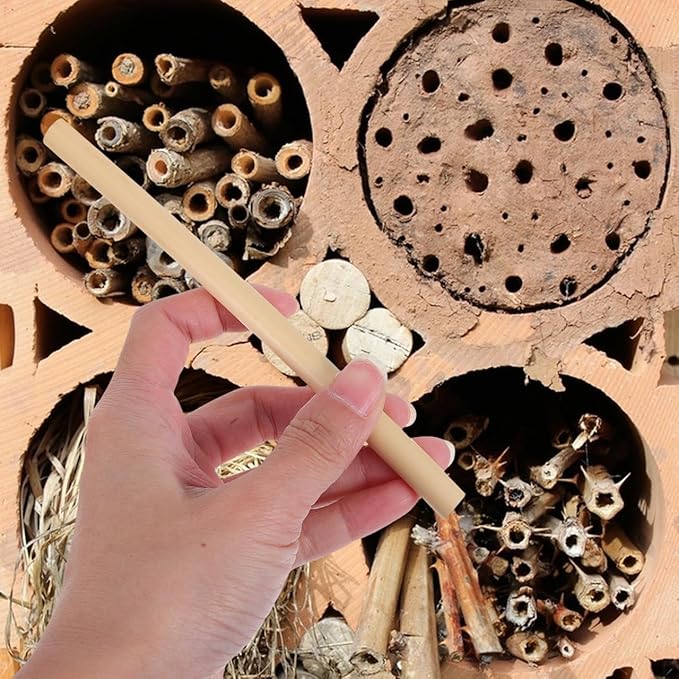 Mason Bee House Reed Nest Tubes Refill: 200PCS Mason Bee Nesting Reed Tubes Inserts Replacement Liners Hotel Box for Outdoor Beekeepers Solitary Bee Hive Supplies