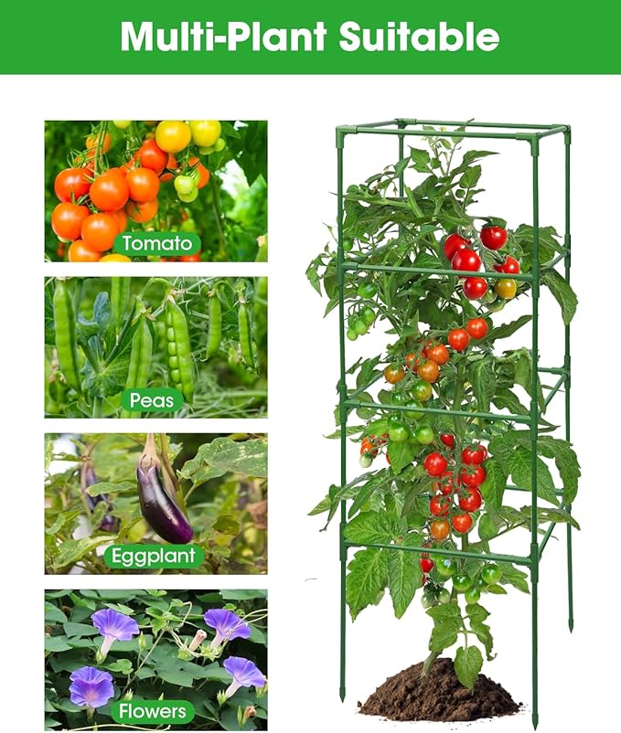 6 Pack Tomato Cage, Square Tomato Cages for Garden, Plant Trellis for Pots, Raised Garden Bed, Plant Support Stakes- 20 Clips Included