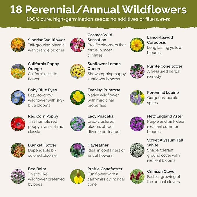 Eden Brothers The Bees Knees Wildflower Mixed Seeds for Planting, 1/4 lb, 120,000+ Seeds with Siberian Wallflower, Cosmos | Attracts Pollinators, Plant in Spring or Fall, Zones 3, 4, 5, 6, 7, 8, 9, 10