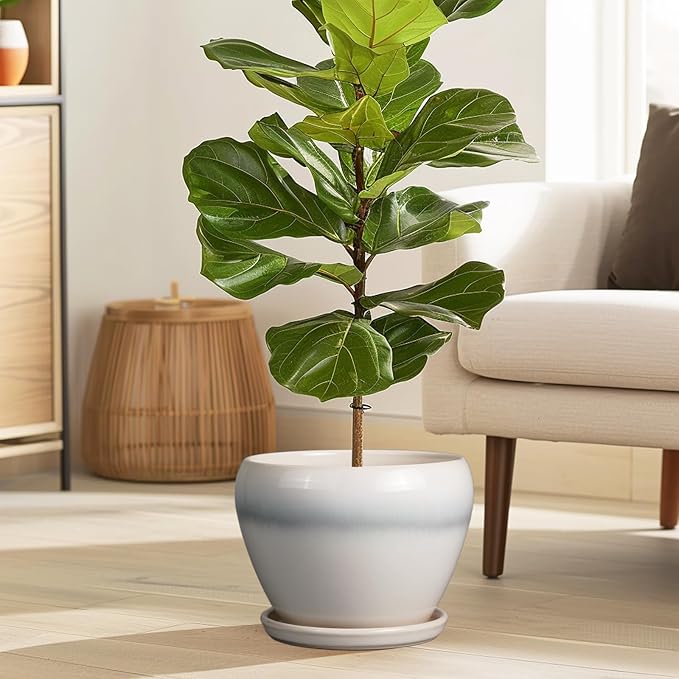 Ceramic Planter - 8 Inch Plant Pot with Drainage Hole and Saucer, Glaze Round Flower Pot for Home Garden Patio Office, White