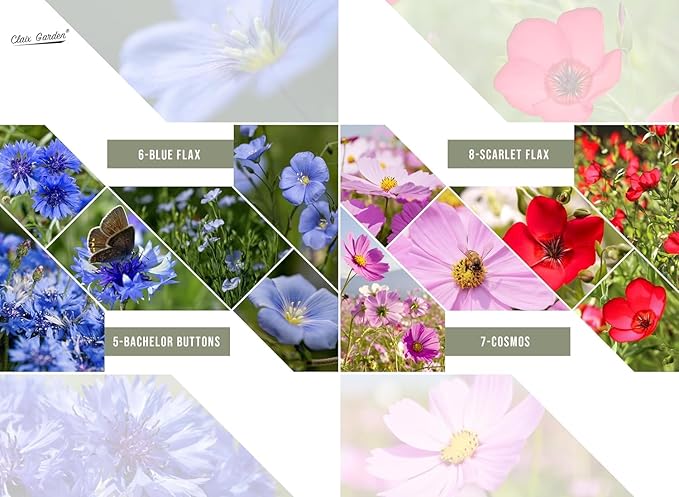 California Wildflower Mix - 5,000 Seeds - 17 Varieties - No Fillers, Open Pollinated and Non GMO, Perennial and Annual Garden Flowers, Attracts Bees and Butterflies