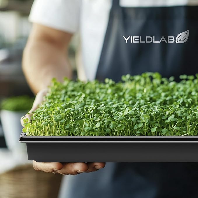 10x20 Inch Black Plastic 10 Pack Plant Propagation Tray – Growing Trays for Garden, Planting, Seedling, Soil & Hydroponic Horticulture - Microgreen Trays Grow Plants - No Drain Holes