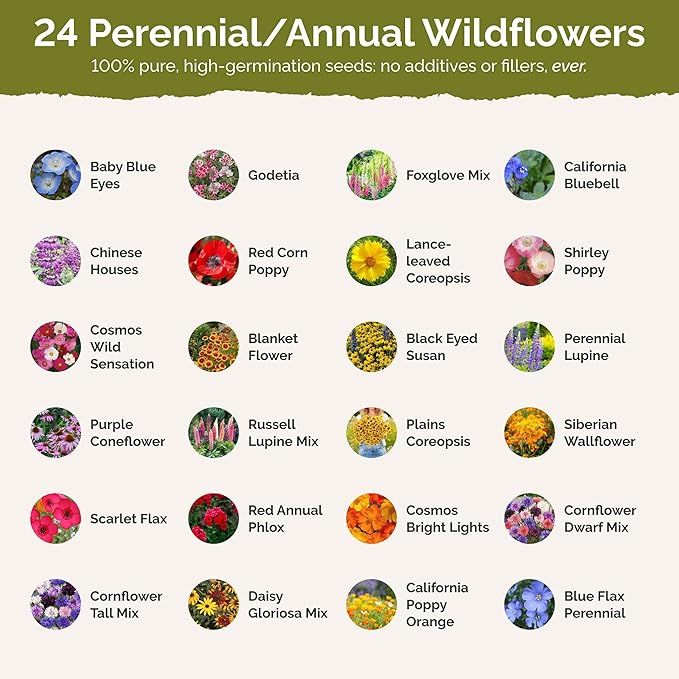 Eden Brothers Washington Wildflower Mixed Seeds for Planting, 1 lb, 480,000+ Seeds with Cosmos, Bluebell | Attracts Pollinators, Plant in Spring or Fall, Zones