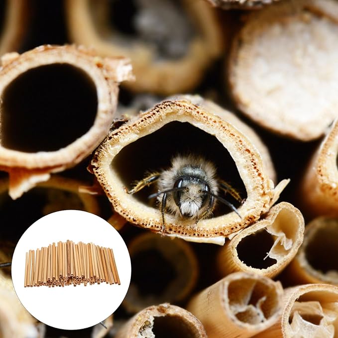 100Pcs Bee House Tubes - Natural Reed Pollinator Tubes for Leaf - Bee Nesting Supplies for Garden Beekeeping and Pollinator Habitat