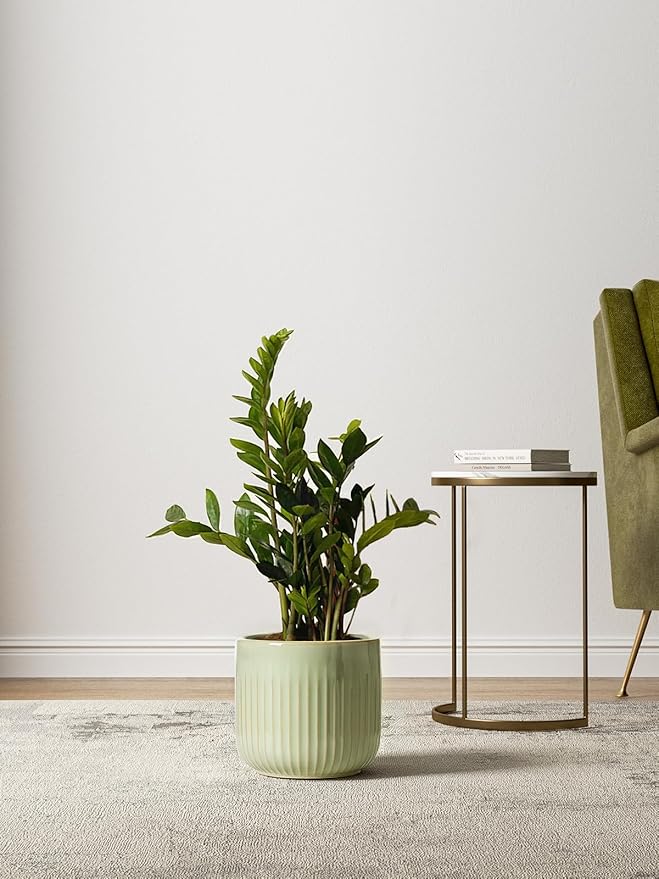 LE TAUCI Fluted Ceramic Pots for Plants, 8.3/7/6 Inch Indoor Planters with Drainage Holes & Mesh, Modern Glossy Glaze Cylinder Plant Pot for Snake Plant, Set of 3, Sage Green