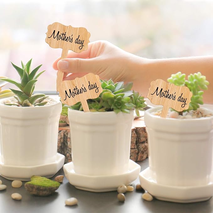 Whaline 60Pcs Bamboo Plant Labels with 1 Marker Pen Eco-Friendly T-Type Wooden Plant Sign Tags Wood Garden Markers Decorative Garden Tags for Seed Potted Herbs Flowers Vegetables (6.5 X 10 cm)