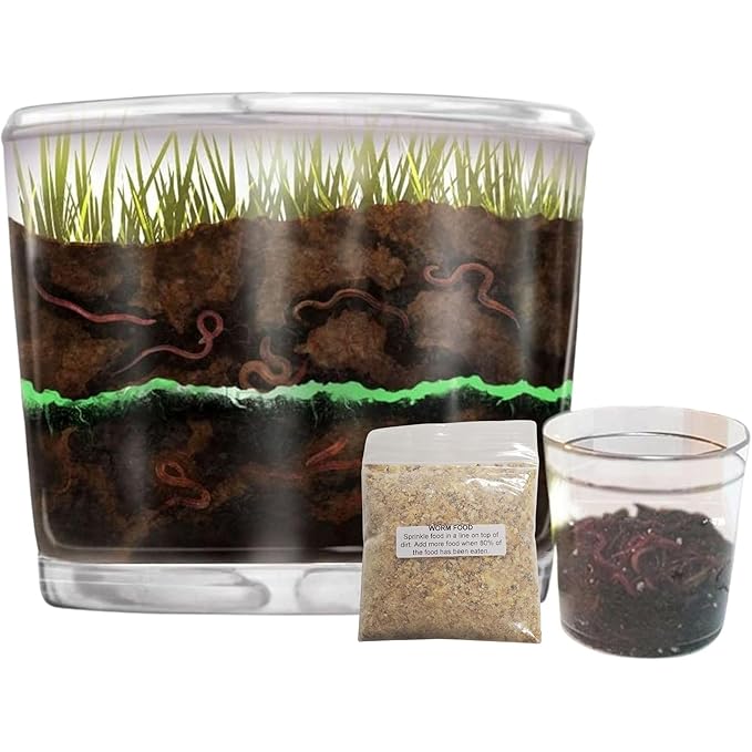 Worm Farm for Kids Shipped with Live Worms and Food - Observation Worm Farm Kit with Ecosystem, Soil, Mixing Sand, Magnifying Glass & More