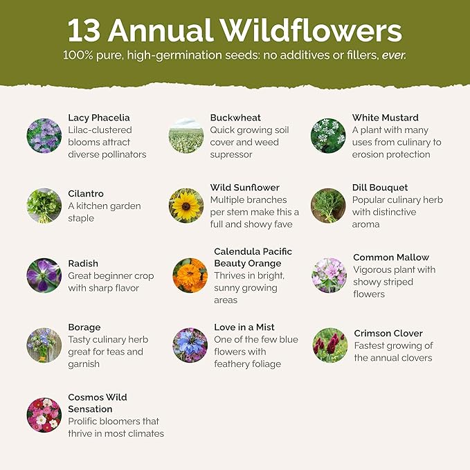 Eden Brothers Bee Happy Organic Wildflower Mixed Seeds for Planting, 1/4 lb, 120,000+ Seeds with Cosmos, Crimson Clover | Attracts Pollinators, Plant in Spring or Fall, Zones 3, 4, 5, 6, 7, 8, 9, 10