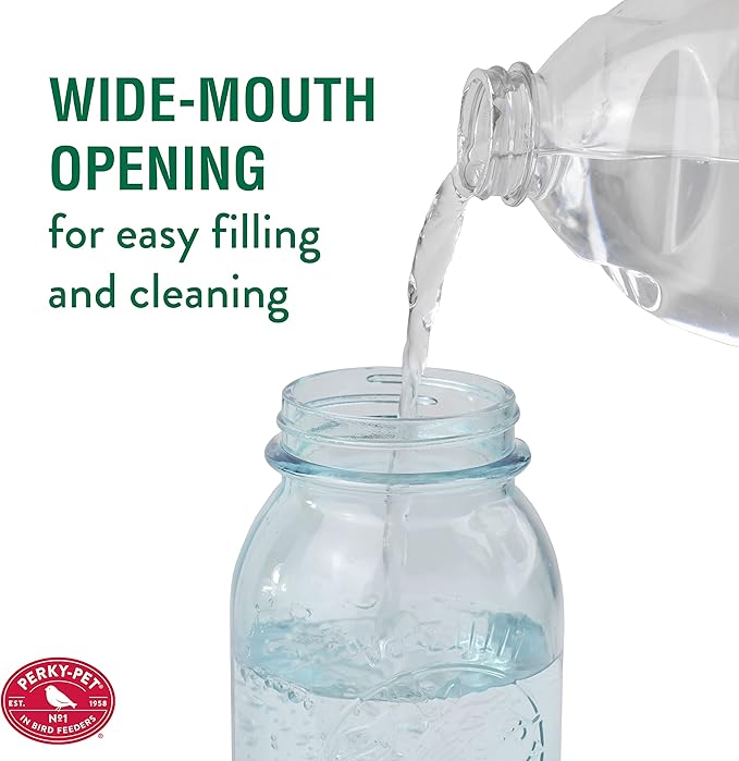 Perky-Pet Mason Jar Vintage Style Glass Hummingbird Feeder 785-1SR - Humming Bird Feeders for Outdoor Garden Decor - 32 Oz Nectar Capacity