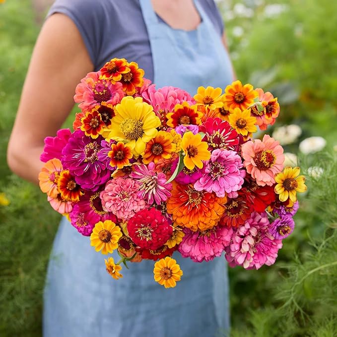 Eden Brothers Zin Master Flower Mixed Seeds for Planting, 5 lb, 2,400,000+ Seeds with California Giant, Mexican, Lilliput Zinnia | Attracts Pollinators, Plant in Spring, Zones 3, 4, 5, 6, 7, 8, 9, 10